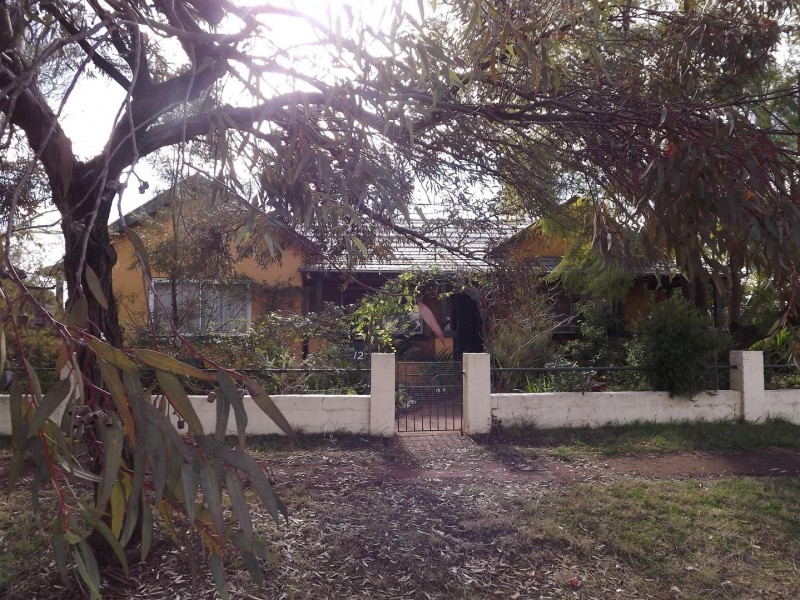 12 Anderson Street, Tullamore NSW 2874