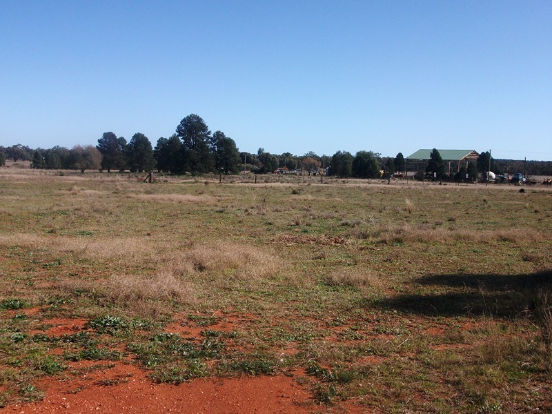 17 Boona Street, Condobolin NSW 2877