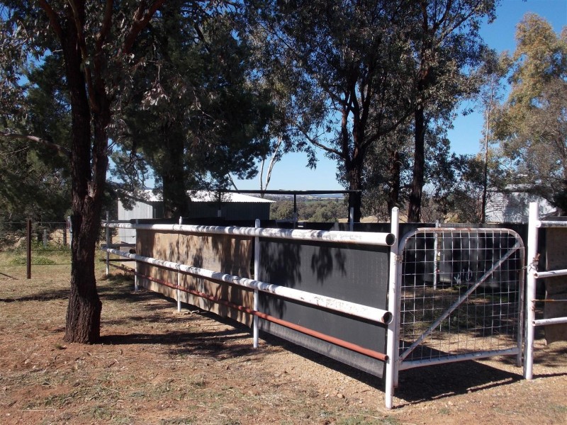 0 Cooks Hill Road, Alectown NSW 2870