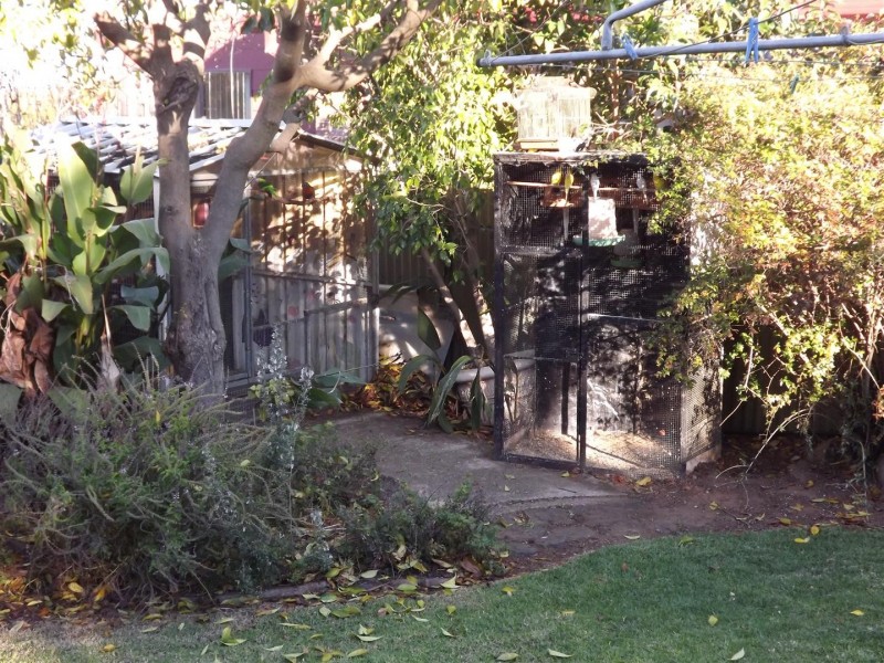 33 Barton Street, Parkes NSW 2870