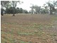 Cnr Noakes and Bedgerebong Road, Bedgerebong NSW 2871