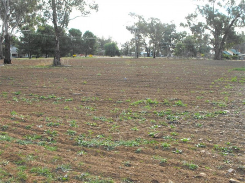 Cnr Noakes and Bedgerebong Road, Bedgerebong NSW 2871