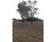 Cnr Noakes and Bedgerebong Road, Bedgerebong NSW 2871