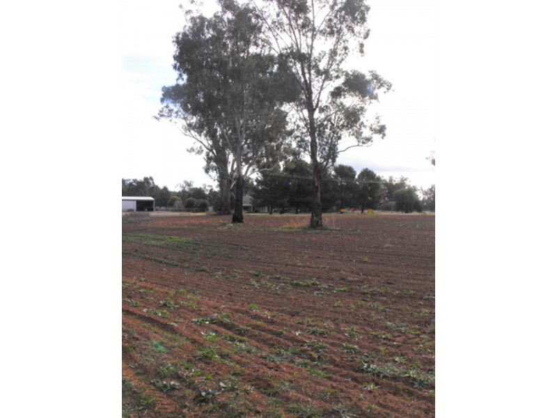 Cnr Noakes and Bedgerebong Road, Bedgerebong NSW 2871