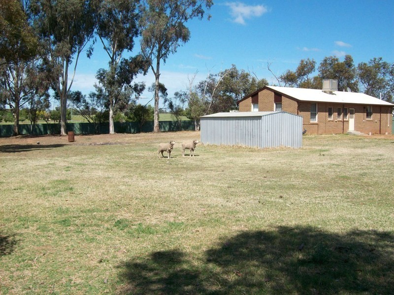 2 Brahman Street, Forbes NSW 2871