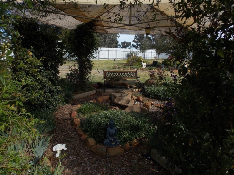 41-45 Goobang Street, Alectown NSW 2870