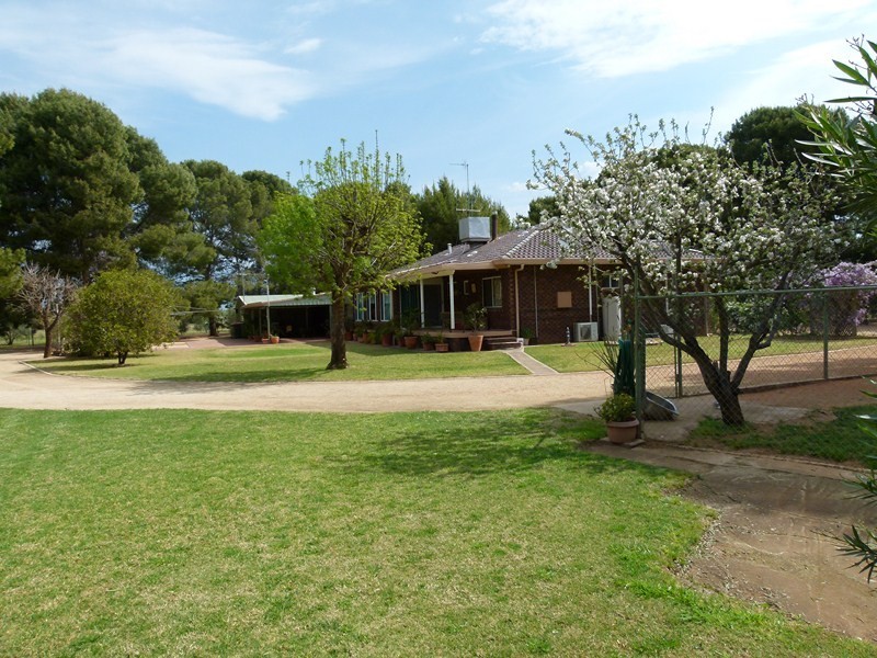 352 Calarie Rd, Forbes NSW 2871