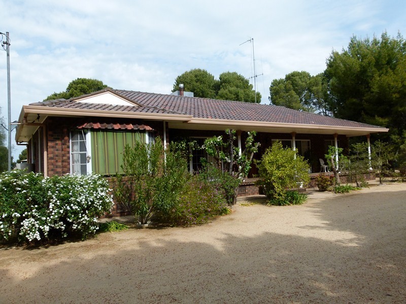 352 Calarie Rd, Forbes NSW 2871