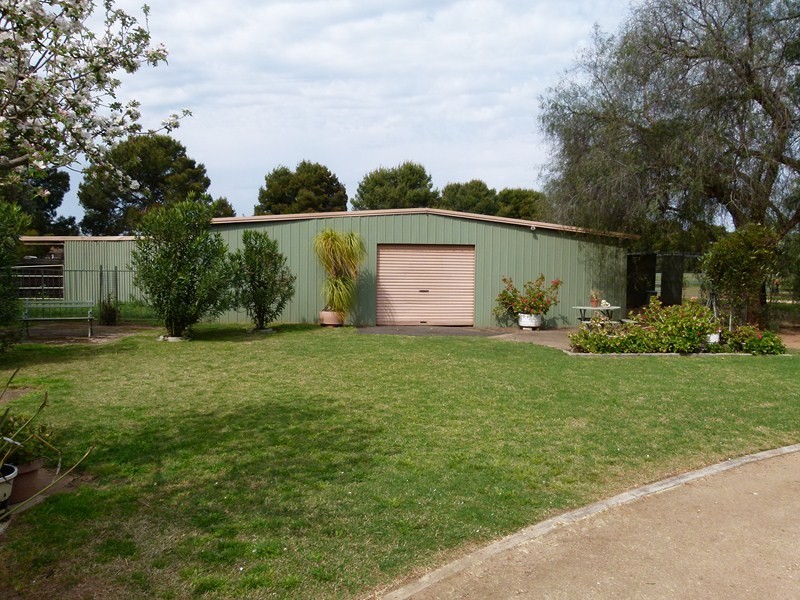 352 Calarie Rd, Forbes NSW 2871
