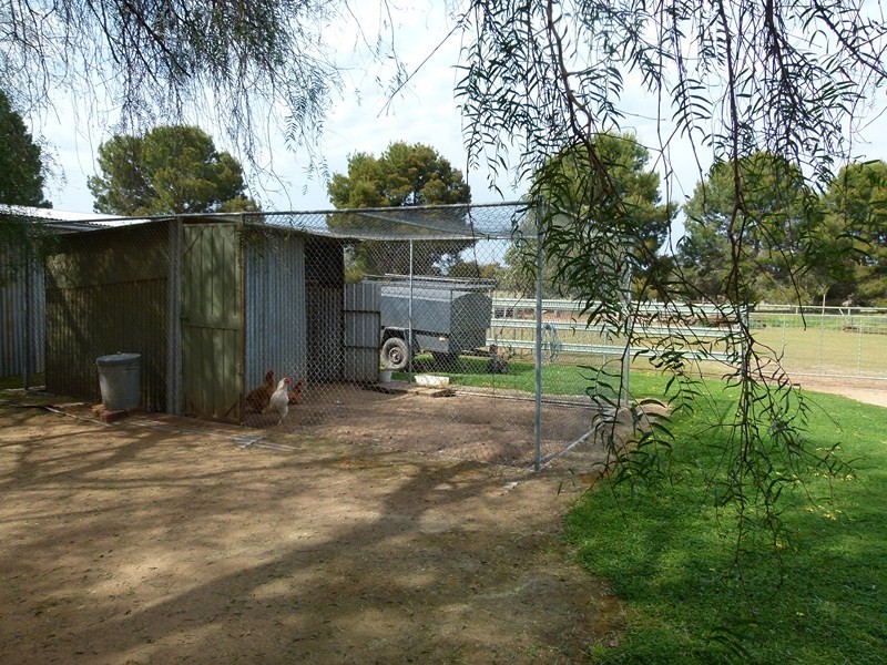 352 Calarie Rd, Forbes NSW 2871