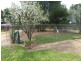 352 Calarie Rd, Forbes NSW 2871