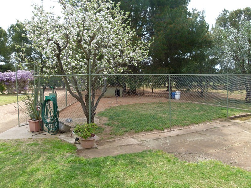 352 Calarie Rd, Forbes NSW 2871
