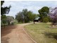 352 Calarie Rd, Forbes NSW 2871