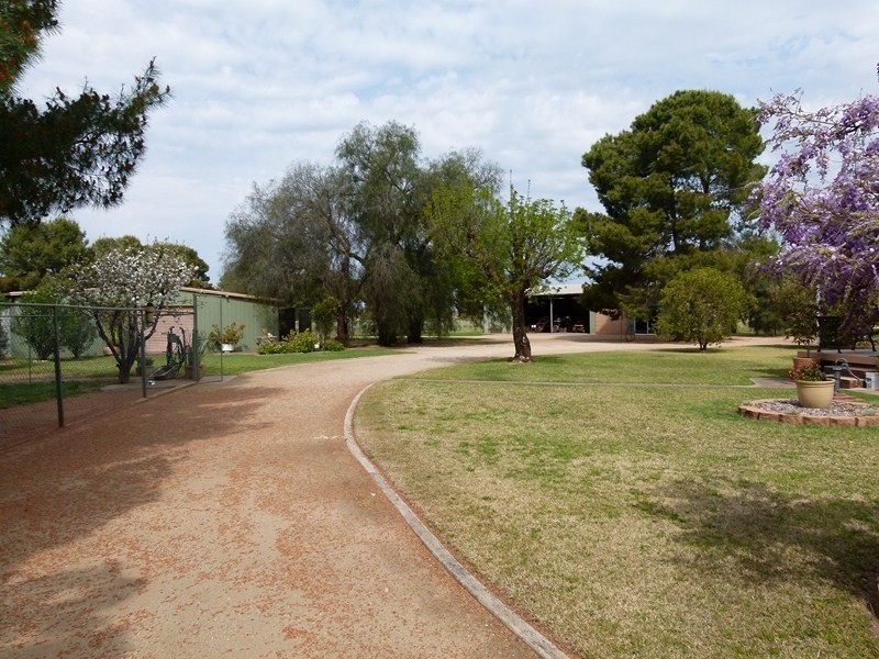 352 Calarie Rd, Forbes NSW 2871