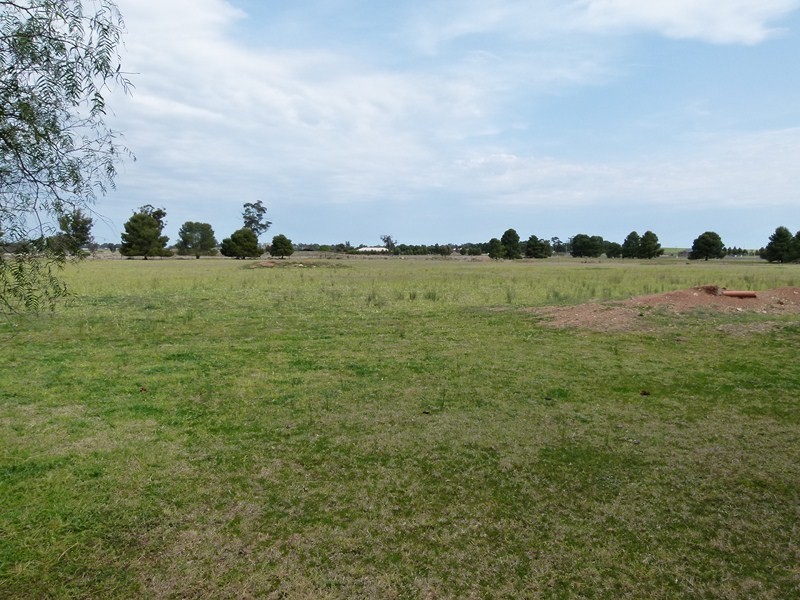 352 Calarie Rd, Forbes NSW 2871