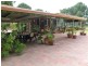 352 Calarie Rd, Forbes NSW 2871