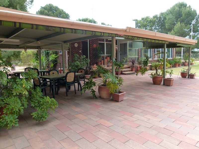 352 Calarie Rd, Forbes NSW 2871
