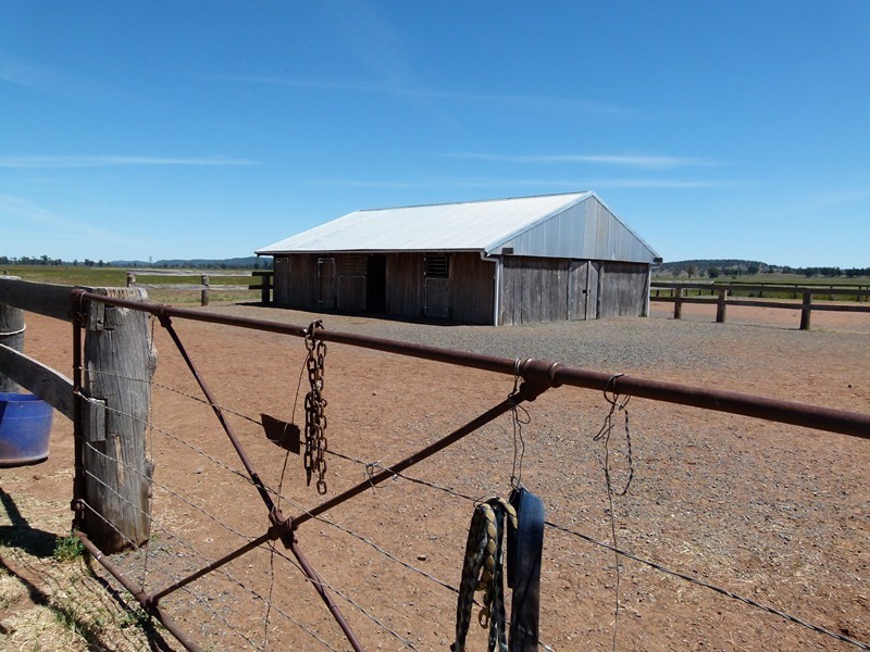 263 Inchgower Lane, Forbes NSW 2871