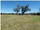 263 Inchgower Lane, Forbes NSW 2871