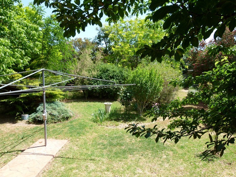 6 Koala Place, Forbes NSW 2871