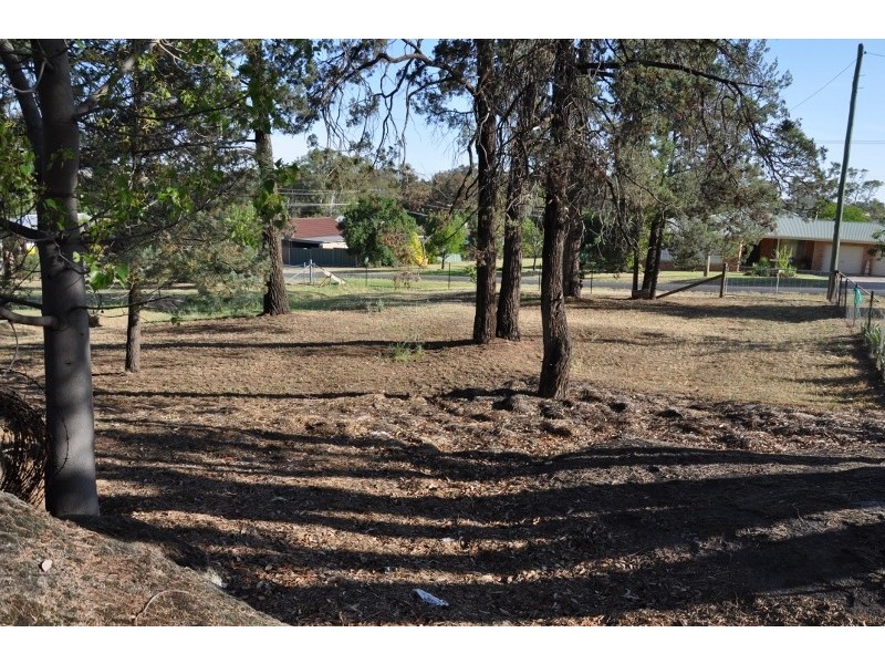 38 Cooper Street, Eugowra NSW 2806