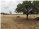 22 Aitken lane, Parkes NSW 2870