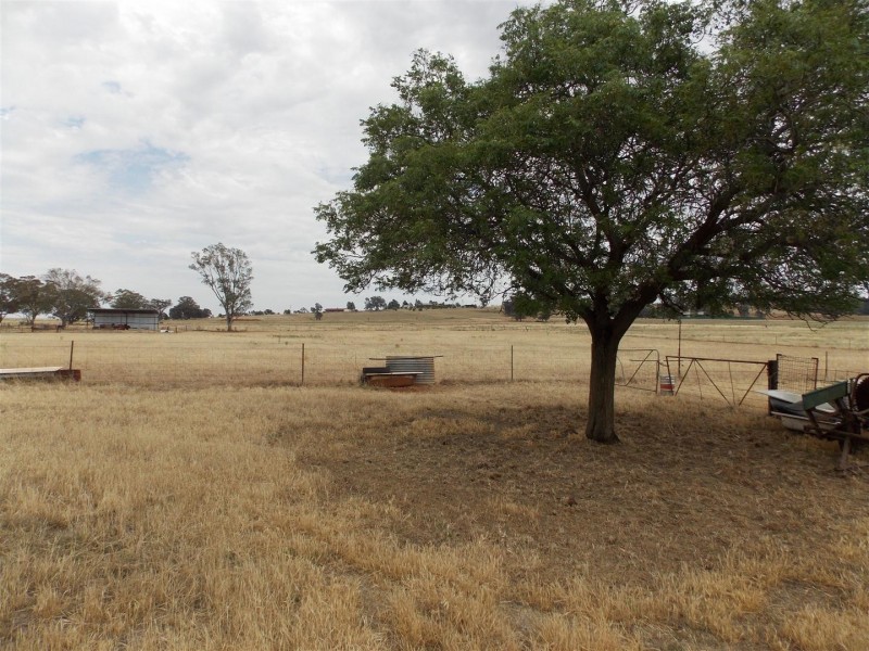 22 Aitken lane, Parkes NSW 2870