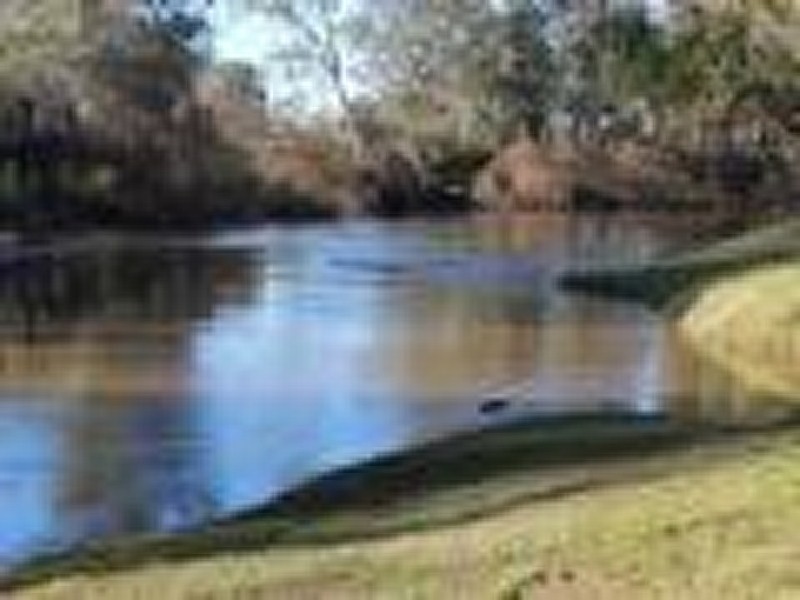 86 Reymond Street, Forbes NSW 2871