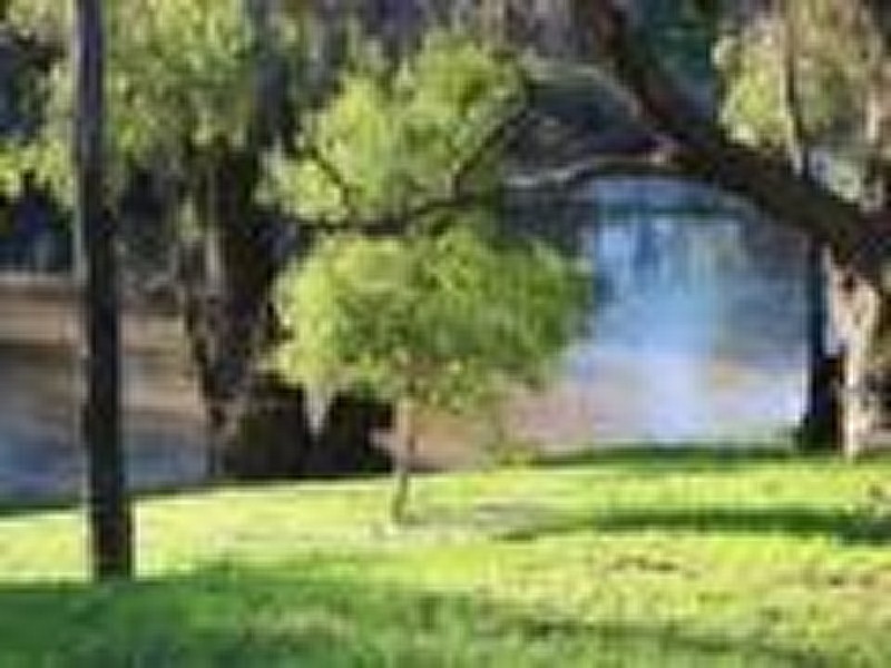 86 Reymond Street, Forbes NSW 2871