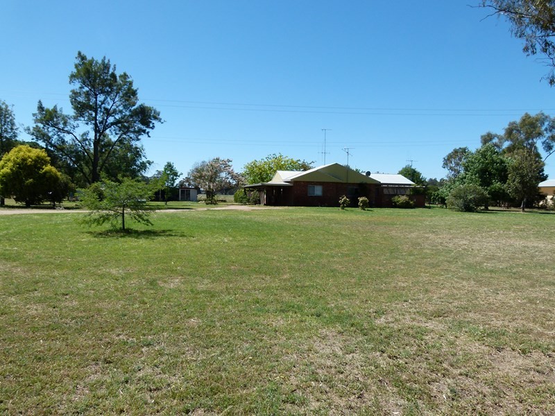 11352 The Escort Way, Forbes NSW 2871