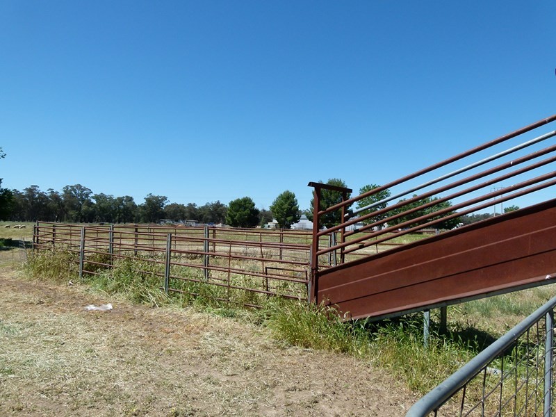 11352 The Escort Way, Forbes NSW 2871