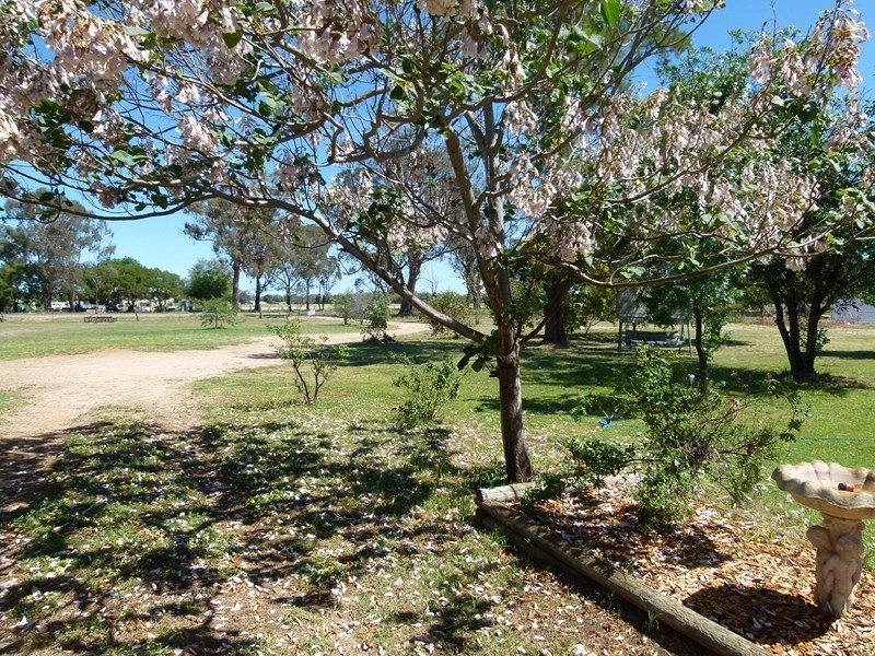 11352 The Escort Way, Forbes NSW 2871