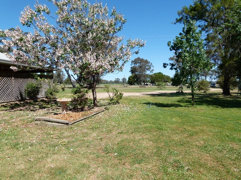 11352 The Escort Way, Forbes NSW 2871