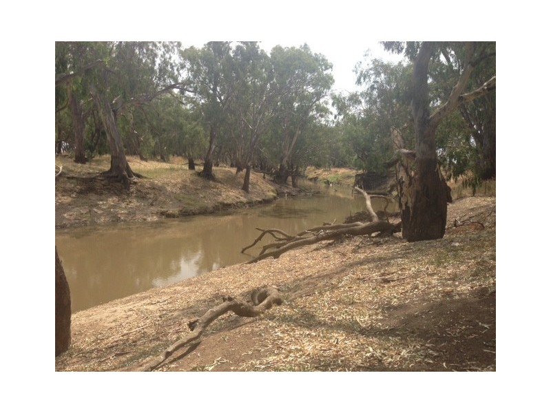 Lachlan Glade Moulder St, Condobolin NSW 2877