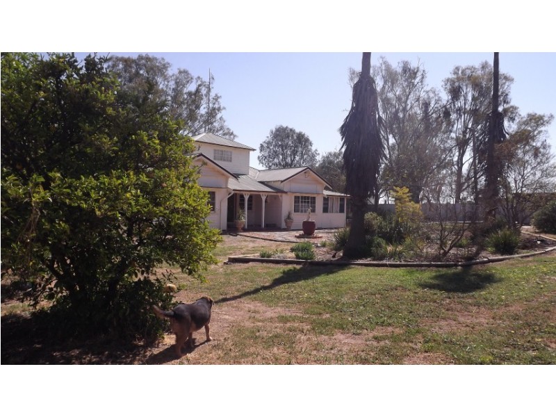 Lachlan Glade Moulder St, Condobolin NSW 2877