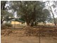 Lachlan Glade Moulder St, Condobolin NSW 2877
