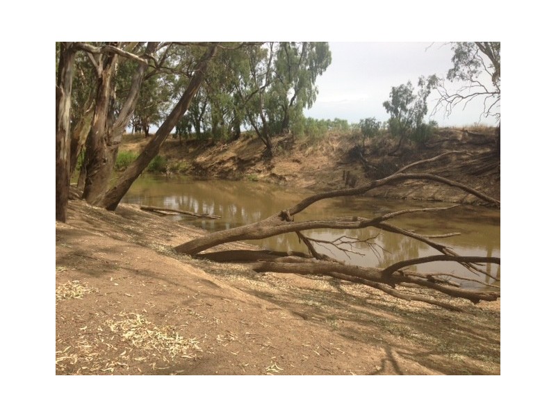 Lachlan Glade Moulder St, Condobolin NSW 2877