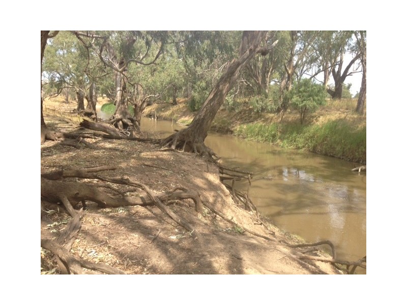 Lachlan Glade Moulder St, Condobolin NSW 2877