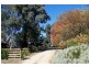 “Peppertree” Hillview Lane, Eugowra NSW 2806