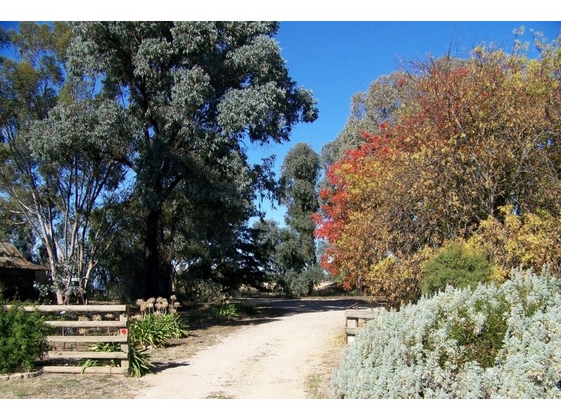 “Peppertree” Hillview Lane, Eugowra NSW 2806