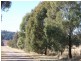 “Peppertree” Hillview Lane, Eugowra NSW 2806