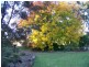“Peppertree” Hillview Lane, Eugowra NSW 2806