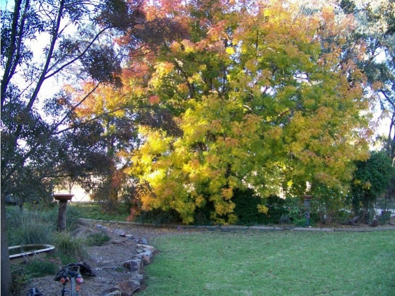 “Peppertree” Hillview Lane, Eugowra NSW 2806