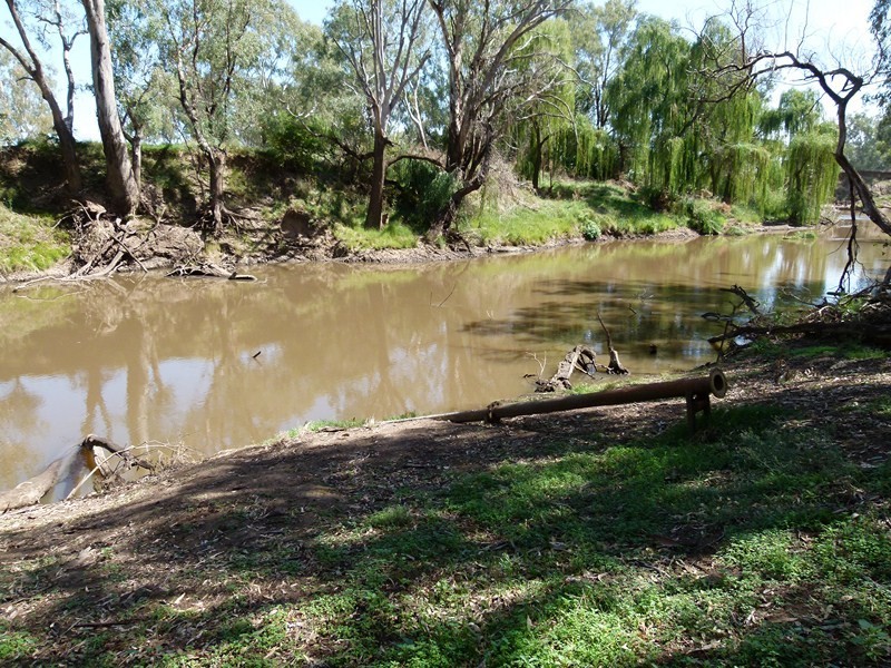 108 Blackwood Lane, Forbes NSW 2871