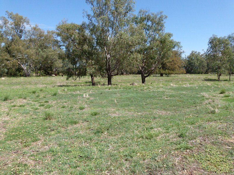 108 Blackwood Lane, Forbes NSW 2871