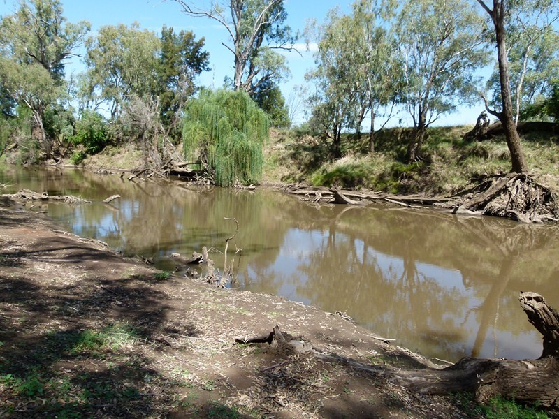 108 Blackwood Lane, Forbes NSW 2871