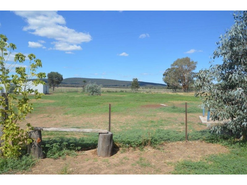 703 Cooka Hills Road, Cookamidgera NSW 2870