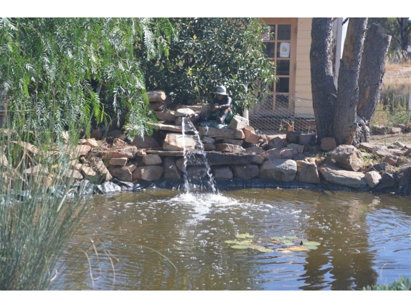 703 Cooka Hills Road, Cookamidgera NSW 2870