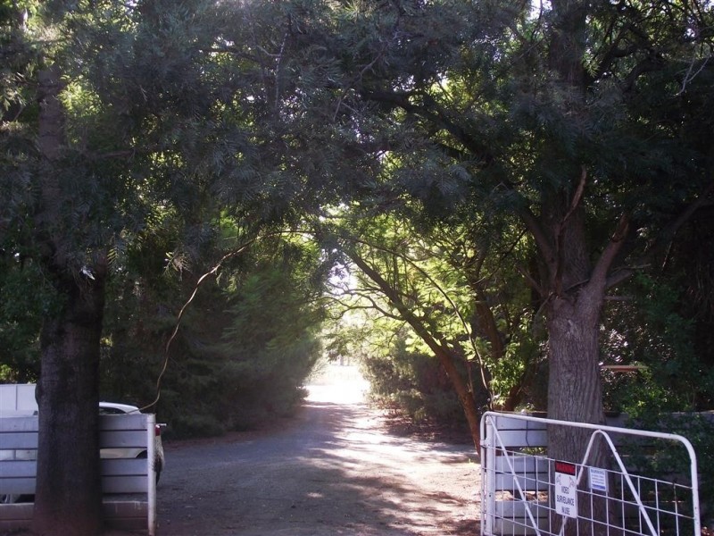 Lot 675 ”Wydinya’ Forbes Road, Parkes NSW 2870