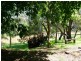 86 Reymond, Forbes NSW 2871